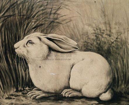 2017年属相兔犯太岁,生肖兔2020年怎么破刑太岁