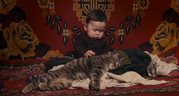 日照宝贝纪录片照片,日照宝贝非洲纪录片