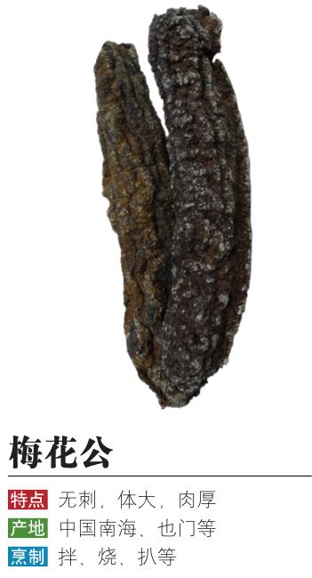 从网上买的海参是真的吗,购买的海参