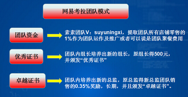 网易考拉现在面临的问题,网易考拉代理有用吗
