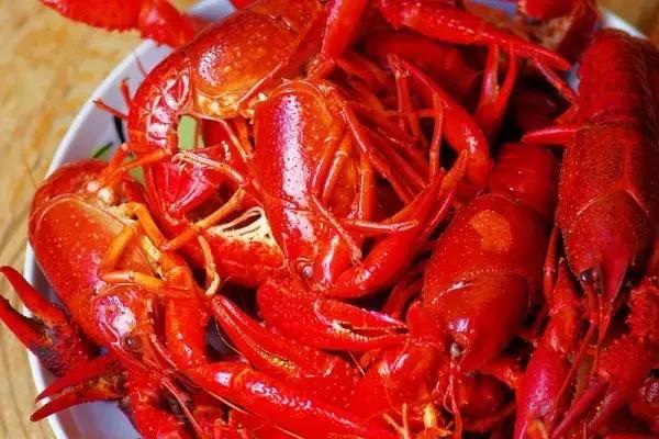 好看得不像实力派的虾贝勒，春晚和您聊聊小龙虾