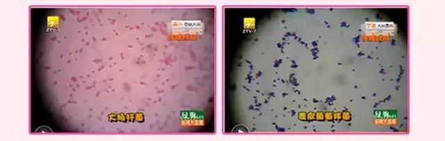 ukiss干湿两用粉扑怎么用,ukiss粉扑清洗剂直播