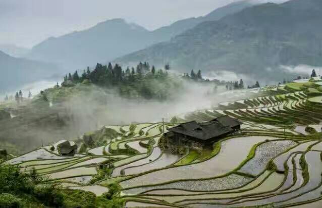 给摄影爱好者的十二条摄影经验,看完这组摄影作品你还淡定吗