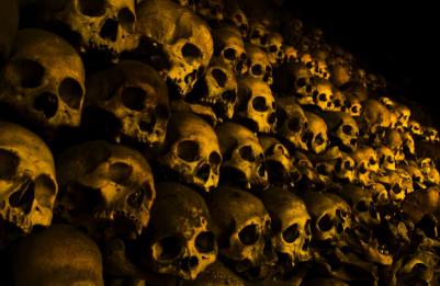 如果世界末日到来我们该如何逃生,如果世界末日来临寻找幸存者