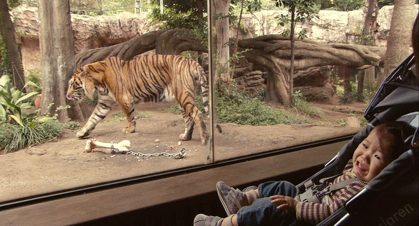 日照宝贝纪录片照片,日照宝贝非洲纪录片