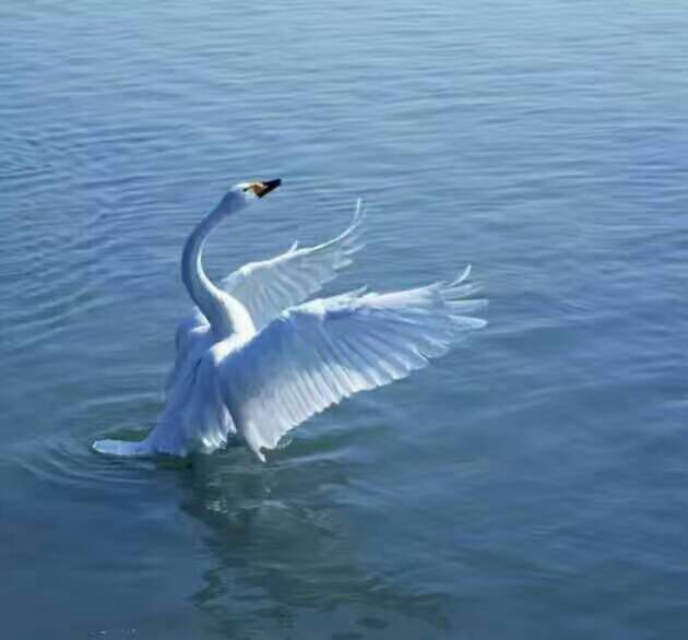 给摄影爱好者的十二条摄影经验,看完这组摄影作品你还淡定吗