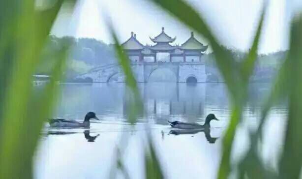 给摄影爱好者的十二条摄影经验,看完这组摄影作品你还淡定吗