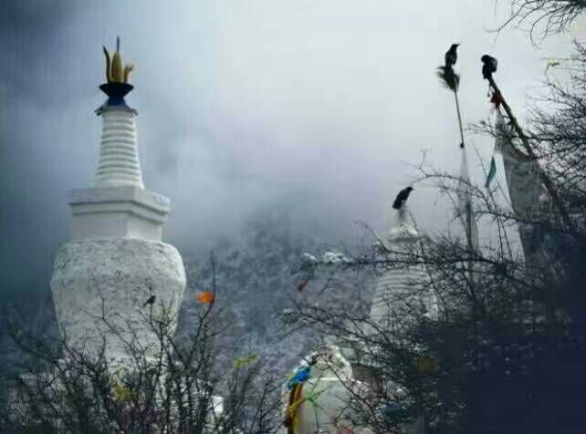 给摄影爱好者的十二条摄影经验,看完这组摄影作品你还淡定吗