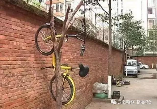 关于共享交通工具的问题,现在共享交通工具有几种