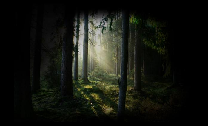 如果世界末日到来我们该如何逃生,如果世界末日来临寻找幸存者