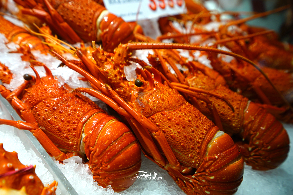 悉尼旅游攻略网红,怎么攻略悉尼