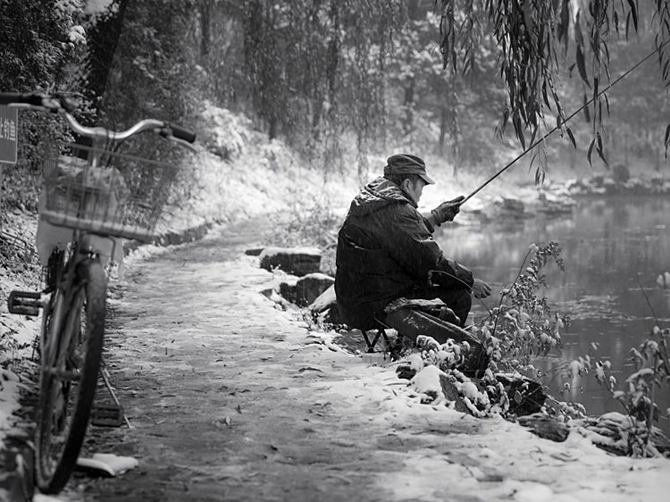 冬钓鲫大红虫好还是小红虫好,冬季用红虫鲫还是腥香鲫好
