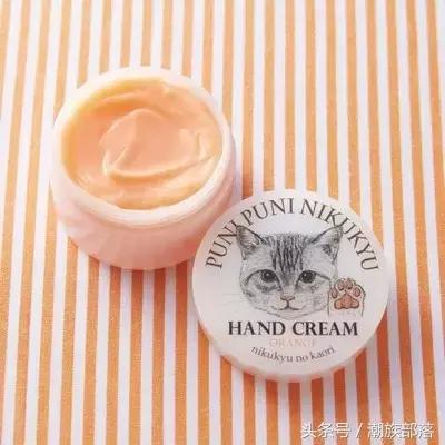 猫控保健,猫控送什么礼物