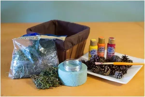 原来松果还能够这么美,原来红杉树也能够很美