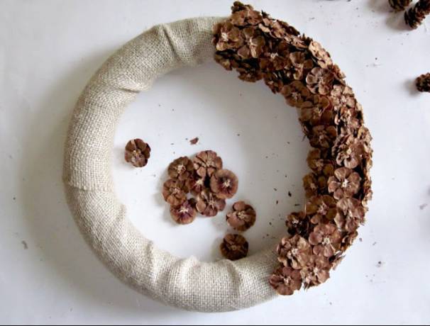 原来松果还能够这么美,原来红杉树也能够很美