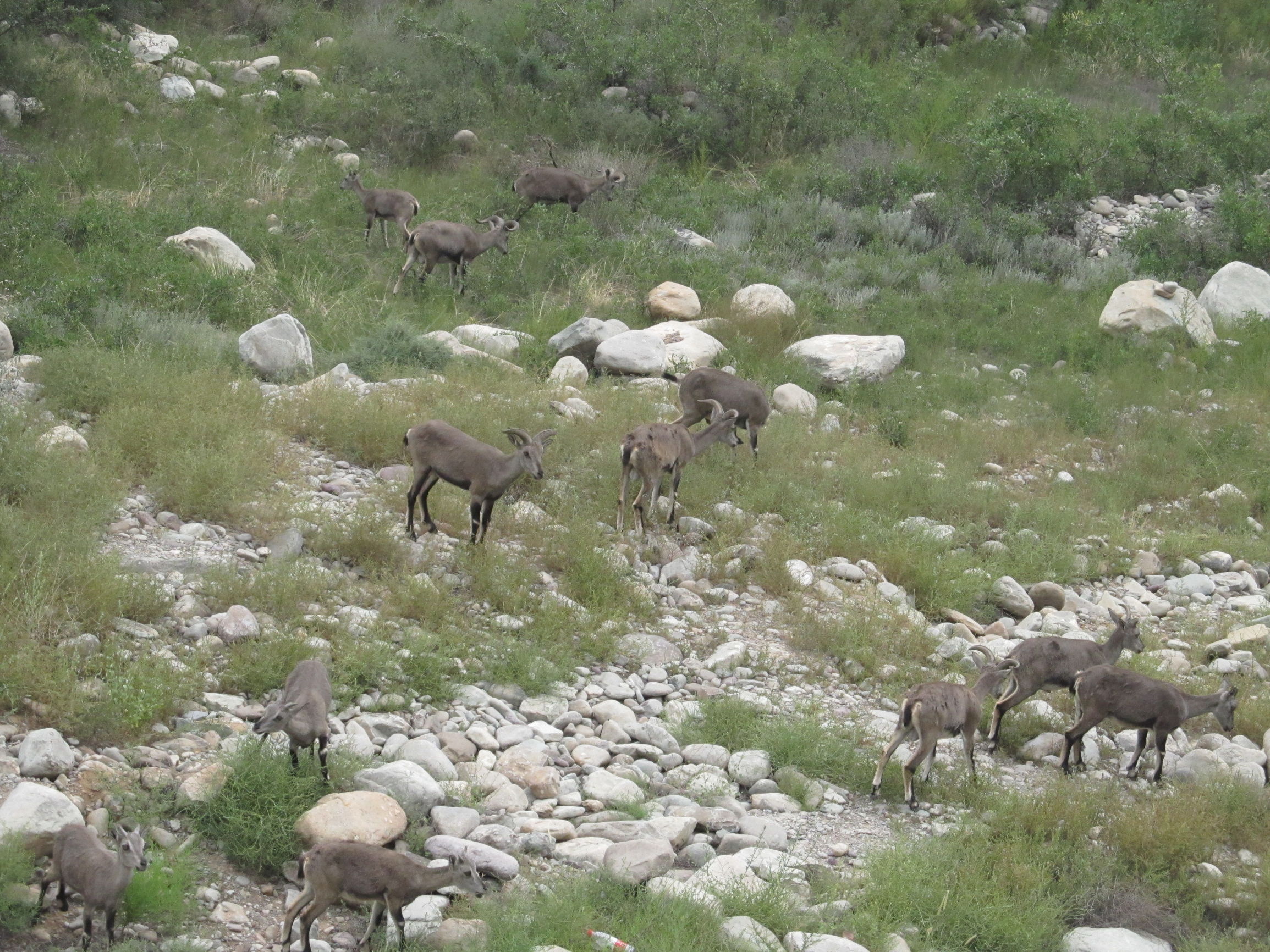 宁夏到陕西的沿途旅游,从宁夏自驾游到重庆多长时间