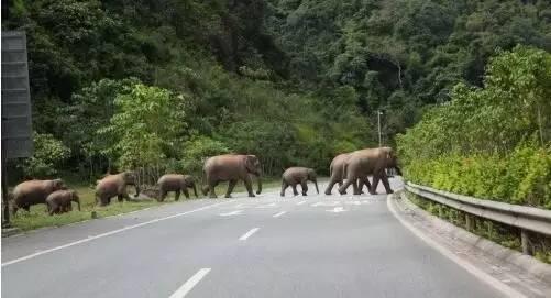 干货分享必读,干货探索与分享