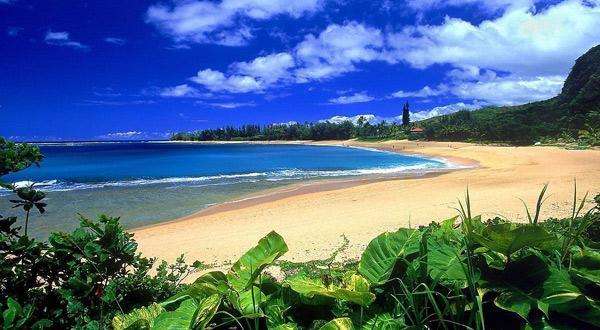 9种不能买回家的旅游纪念品,不是任何东西都值得留念