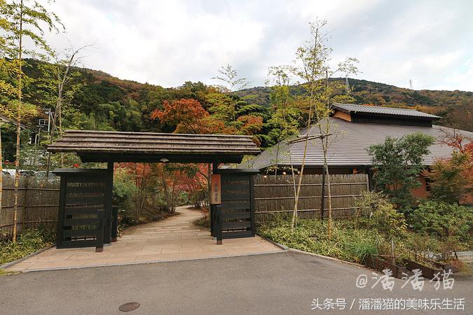 箱根草津温泉旅游攻略,日本箱根特色温泉