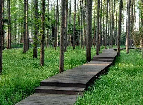 过年上海周边旅游最值得去的地方,上海假期周边旅游攻略大全