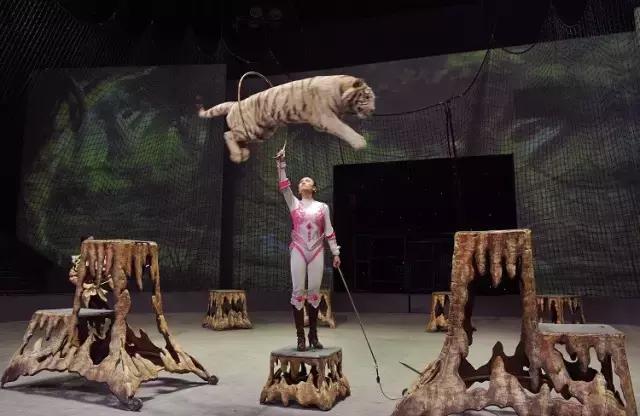 过年上海周边旅游最值得去的地方,上海假期周边旅游攻略大全