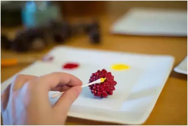 原来松果还能够这么美,原来红杉树也能够很美