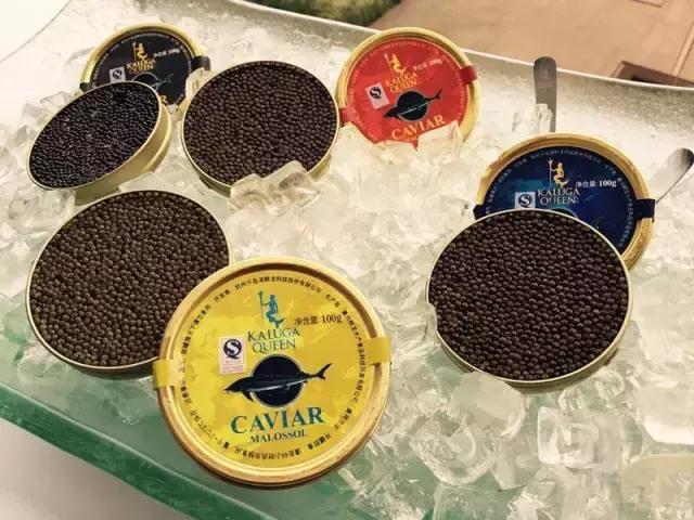 深海鱼子酱的功效与功能,来自深海的鱼完全版