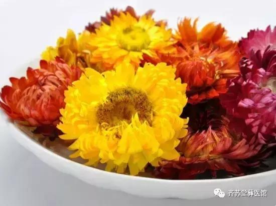 各种菊花的不同功效,菊花的功效各不同别用错了