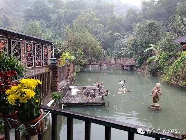 珠海本地人必去的美食推荐,珠海美食攻略必吃美食