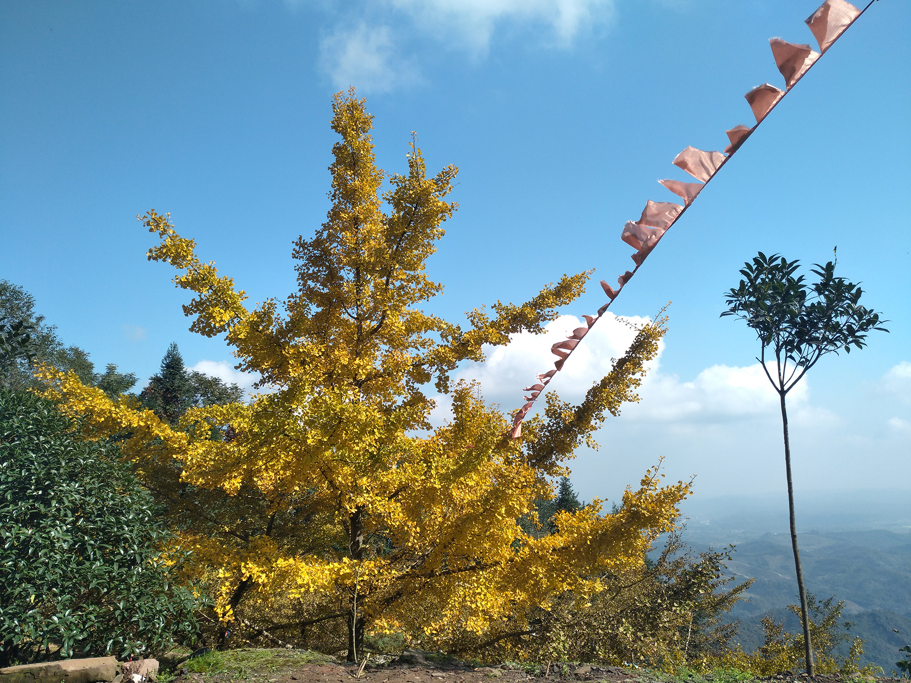 宁夏到陕西的沿途旅游,从宁夏自驾游到重庆多长时间