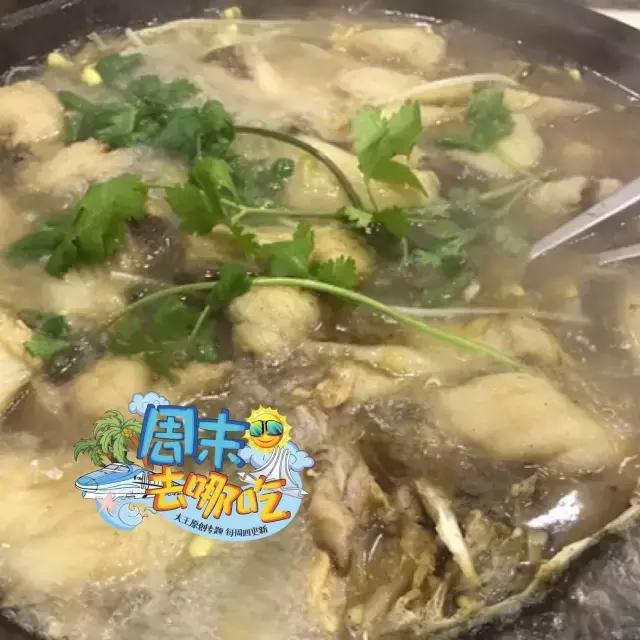 周末去哪吃2月第一期来啦