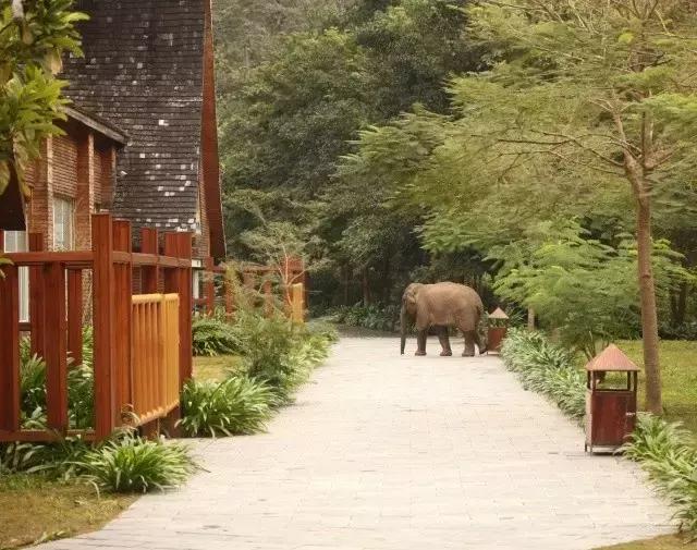 干货分享必读,干货探索与分享