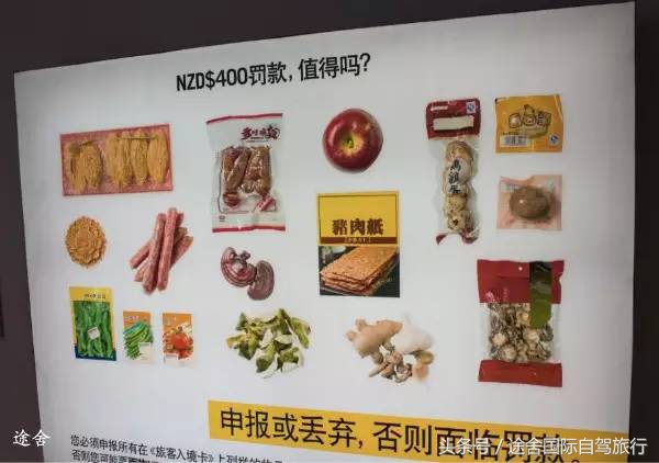 新西兰旅游游记,4月新西兰游记