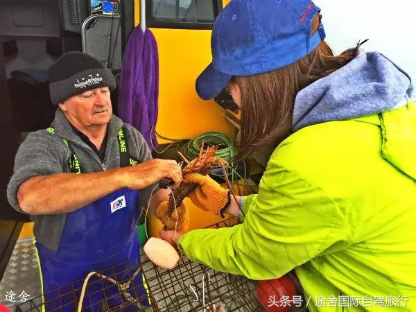 新西兰旅游游记,4月新西兰游记