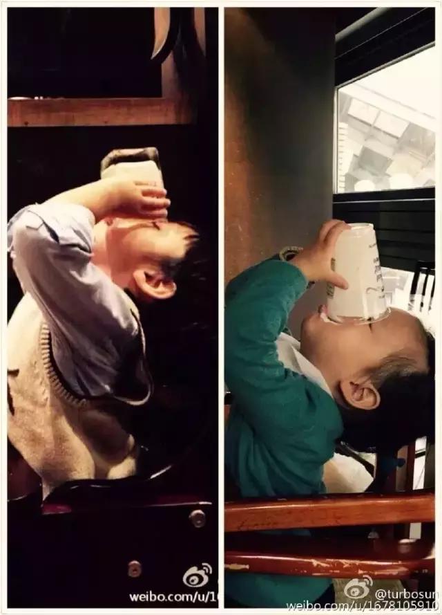 小海绵小星星,小星星小海豚林心如