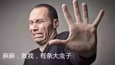 新西兰蛇和蝎子,新西兰发现蛇