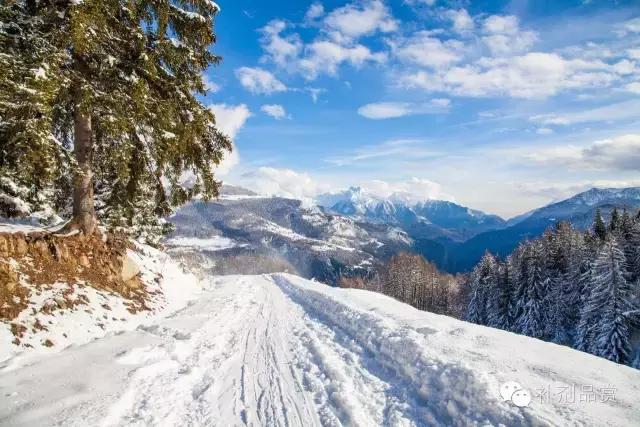 补剂中的防腐剂多吗,补剂的成分有哪些