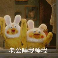 这两只在日本爆火的贱鹦鹉，一定能成为表情包界最火的新网红！