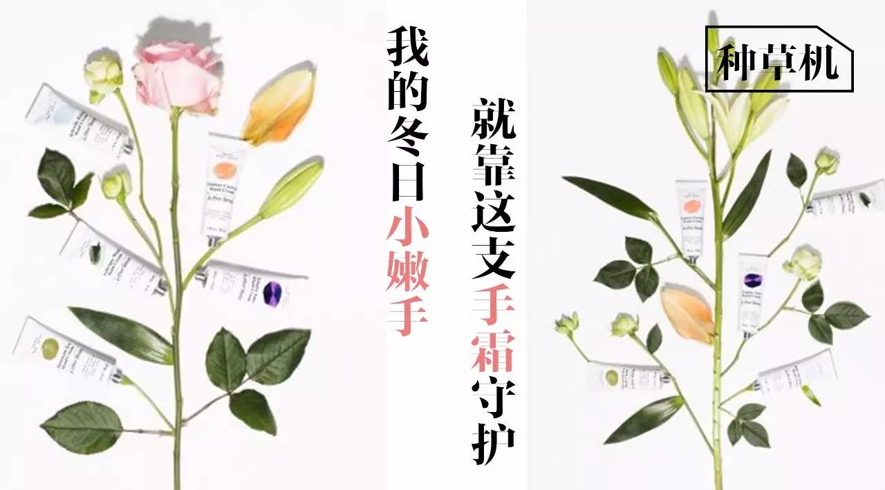 种草机家里必备,11支秋冬超爱护手霜
