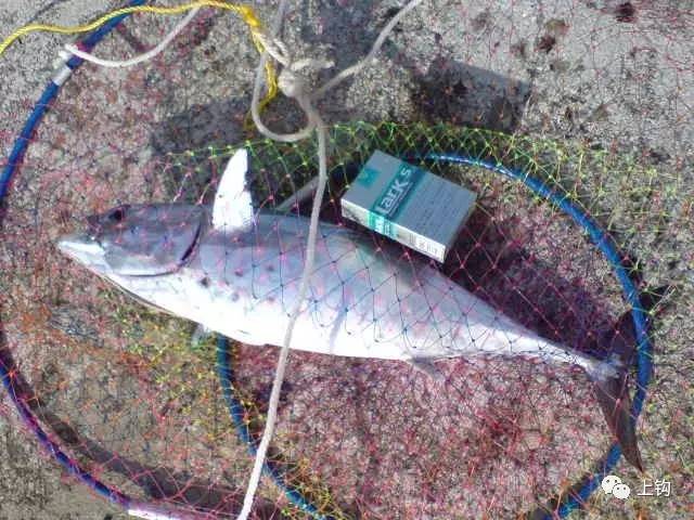 冲绳岛海钓,海钓福利