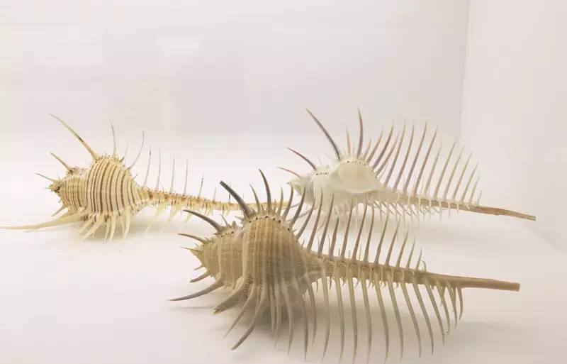 聂鲁达说，没有玩具我就没法活！那么，来看看大诗人怎么活的吧