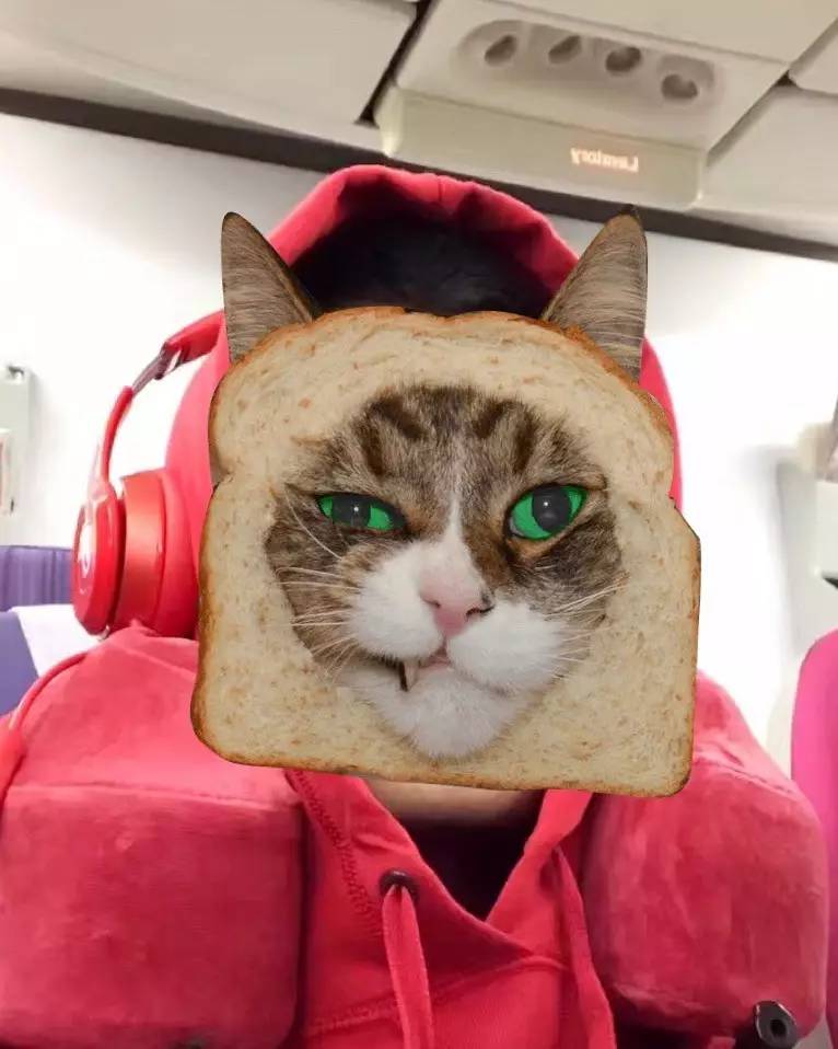 旅行路上捉到一只哆啦A梦，我把他的口袋翻开了……