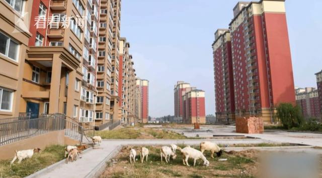 46幢住宅楼的“惠农工程”开工6年疑“烂尾”农民在小区绿化地上放羊开荒