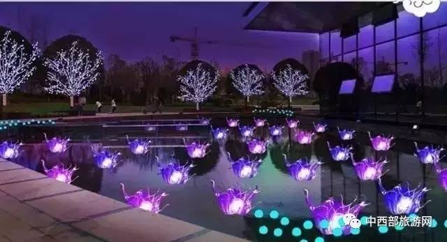 「乐在囧途」赏腊梅、逛庙会、看灯光展，这个春节带着家人去鄢陵吧！