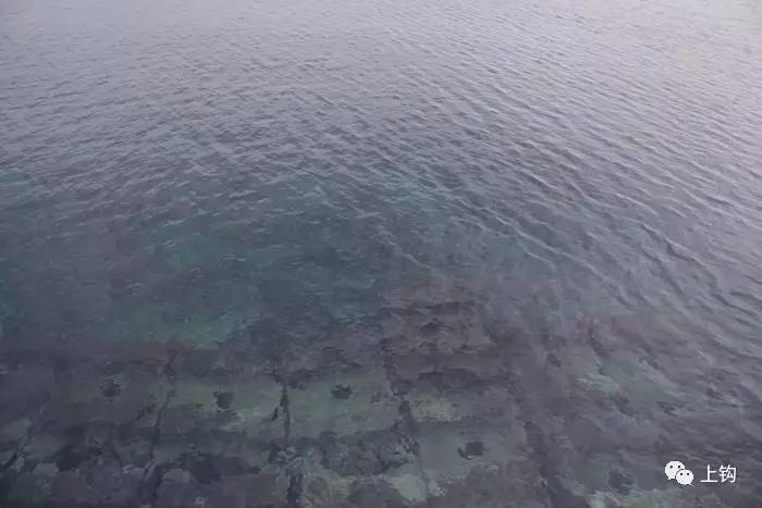 冲绳岛海钓,海钓福利