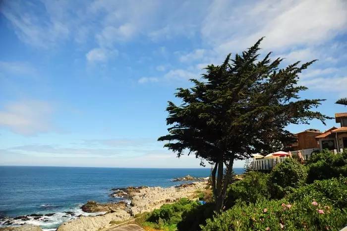 聂鲁达说，没有玩具我就没法活！那么，来看看大诗人怎么活的吧