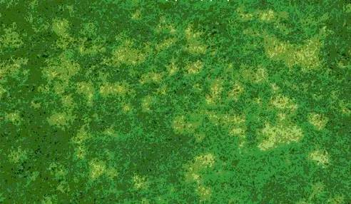 攻克黄斑病变,攻克白化病