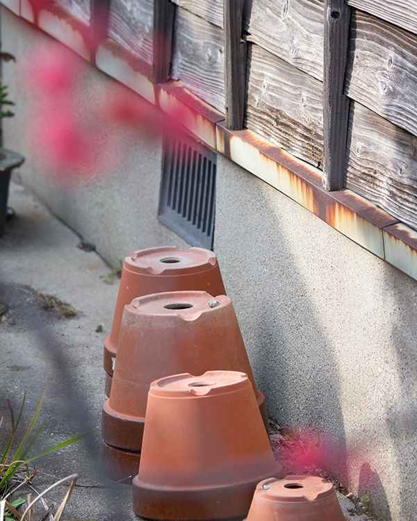 奥巴pen机身防抖,奥巴12-100镜头评测