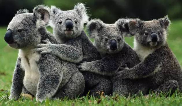 「旅游报」陆客大减台湾旅游业惨淡：酒店倒闭旅行社关门