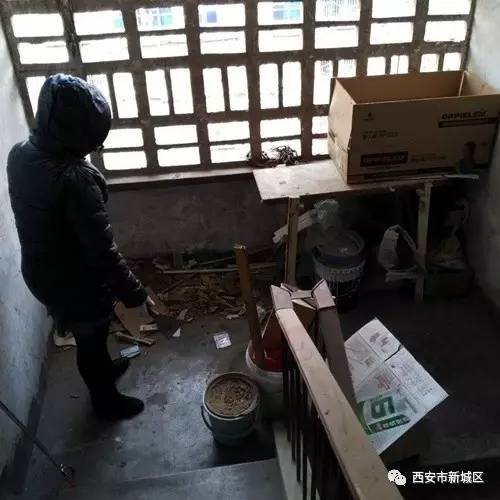 院长大搞翻新改造工程,院长翻天覆地的生活